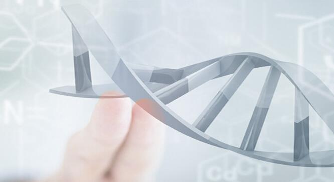 广西亲子鉴定中心DNA生物证据鉴定的特殊性