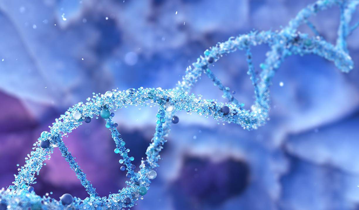 做广西DNA亲子鉴定多少天出结果？