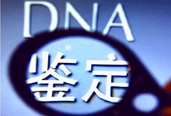 广西DNA鉴定如何做，广西亲子鉴定的费用是多少